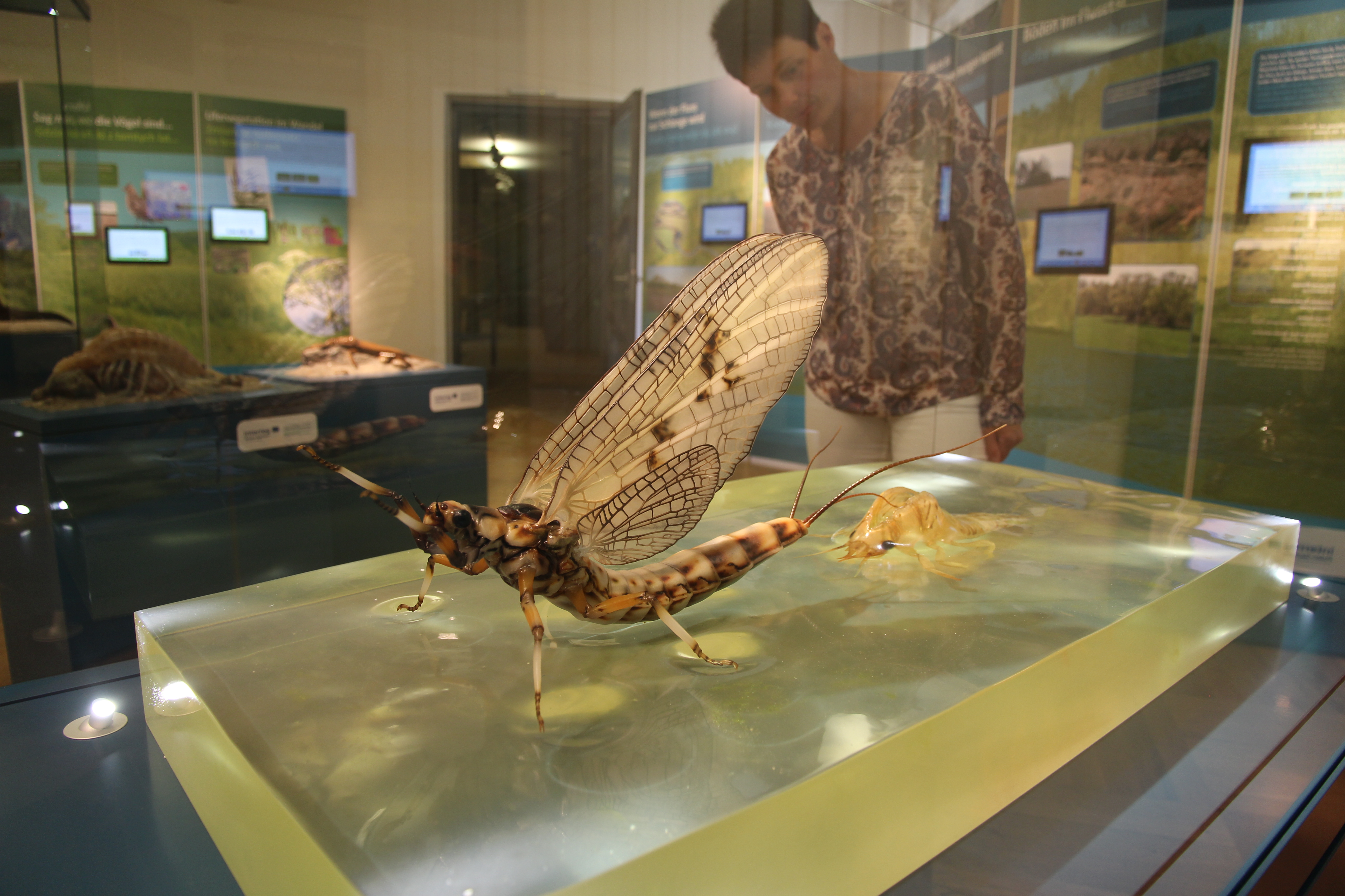 Z babci i dziadkiem do muzeum