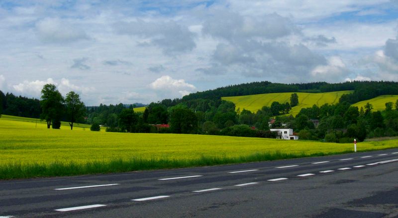 Barcinek - sodki smak sielanki