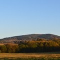 Graniczny Wierch 27 padziernika 2014 r. Dawniej widokowe wylesienie porasta modnik (fot. A. Lipin)