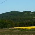 Gularz i Granicznik z drogi Biaopole - Sieniawka (fot. A. Lipin)