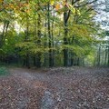 W drodze na Gularz - rozstaje po zachodniej stronie obelisku (fot. A. Lipin)